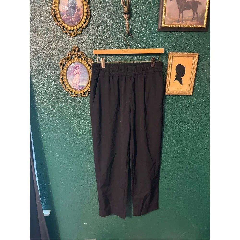 Everlane Black Tapered Pull On Pants Sz 6 100% Wool
